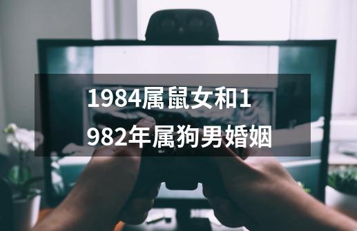 1984属鼠女和1982年属狗男婚姻-第1张-游戏信息-四季网