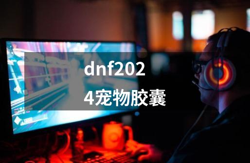 dnf2024宠物胶囊-第1张-游戏信息-四季网