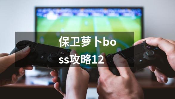 保卫萝卜boss攻略12-第1张-游戏信息-四季网