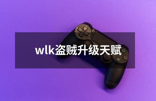 wlk盗贼升级天赋-第1张-游戏信息-四季网