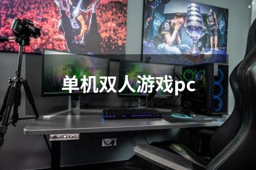 单机双人游戏pc-第1张-游戏信息-四季网