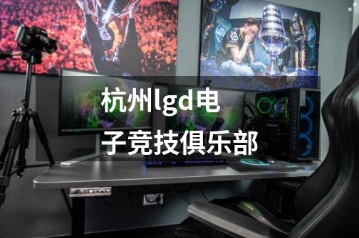 杭州lgd电子竞技俱乐部-第1张-游戏信息-四季网