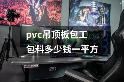 pvc吊顶板包工包料多少钱一平方-第1张-游戏信息-四季网