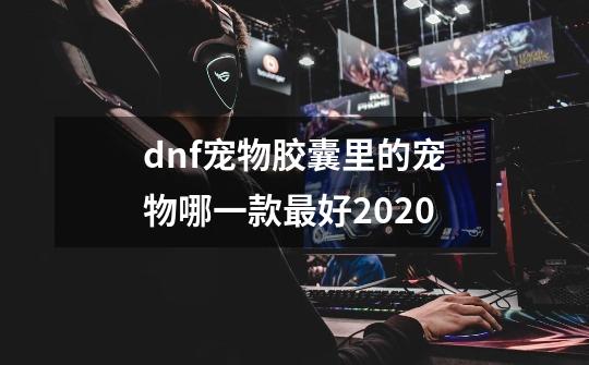 dnf宠物胶囊里的宠物哪一款最好2020-第1张-游戏信息-四季网