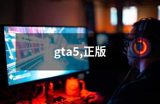 gta5,正版-第1张-游戏信息-四季网