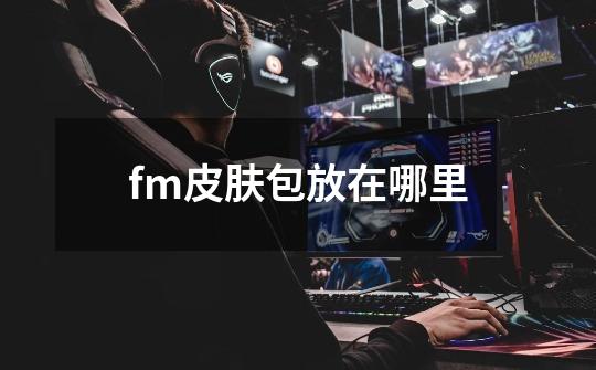 fm皮肤包放在哪里-第1张-游戏信息-四季网