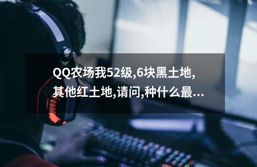 QQ农场我52级,6块黑土地,其他红土地,请问,种什么最赚钱？-第1张-游戏信息-四季网