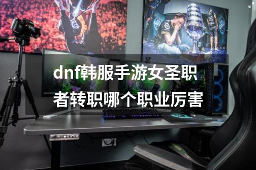 dnf韩服手游女圣职者转职哪个职业厉害-第1张-游戏信息-四季网