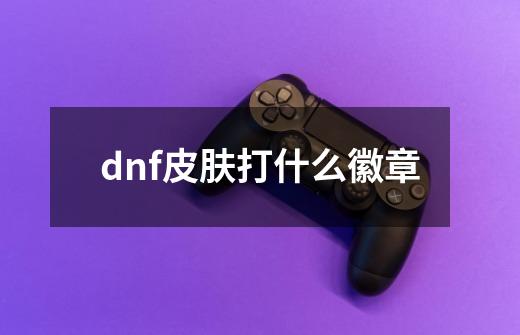 dnf皮肤打什么徽章-第1张-游戏信息-四季网