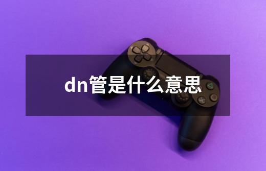 dn管是什么意思-第1张-游戏信息-四季网