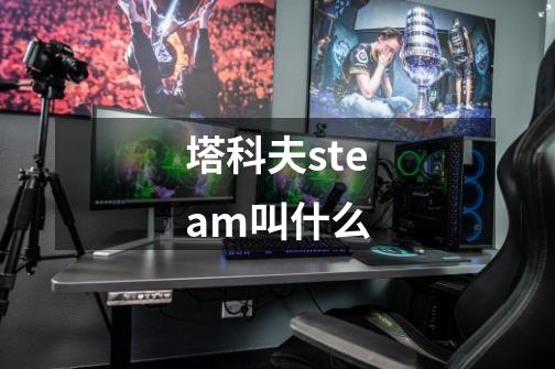 塔科夫steam叫什么-第1张-游戏信息-四季网