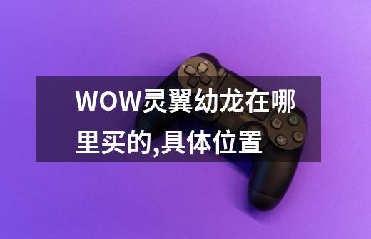 WOW灵翼幼龙在哪里买的,具体位置-第1张-游戏信息-四季网