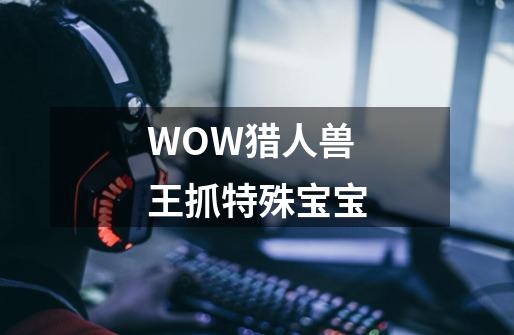 WOW猎人兽王抓特殊宝宝-第1张-游戏信息-四季网