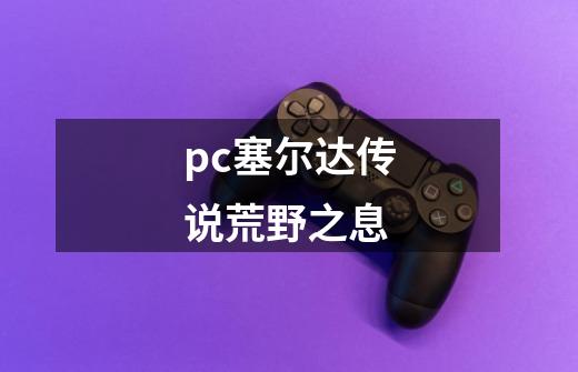 pc塞尔达传说荒野之息-第1张-游戏信息-四季网