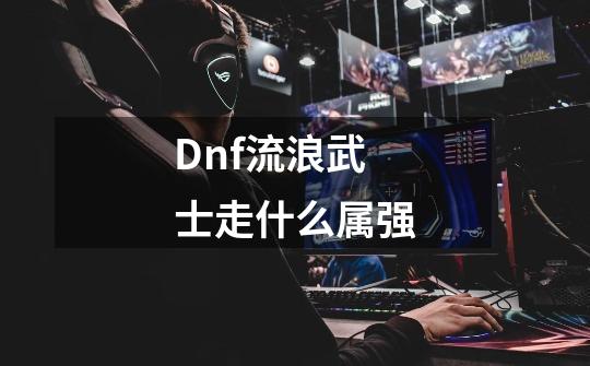 Dnf流浪武士走什么属强-第1张-游戏信息-四季网