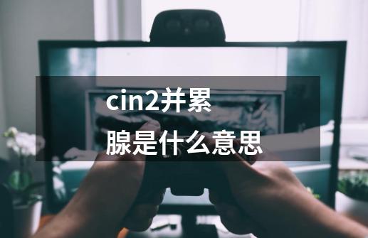 cin2并累腺是什么意思-第1张-游戏信息-四季网