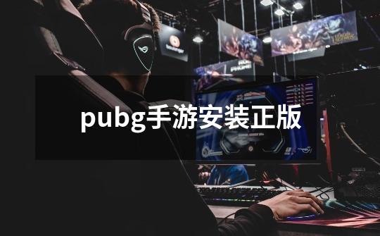 pubg手游安装正版-第1张-游戏信息-四季网