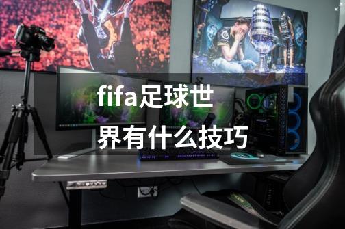 fifa足球世界有什么技巧-第1张-游戏信息-四季网