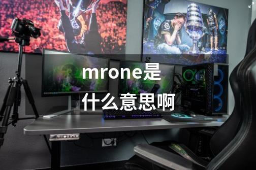 mrone是什么意思啊-第1张-游戏信息-四季网