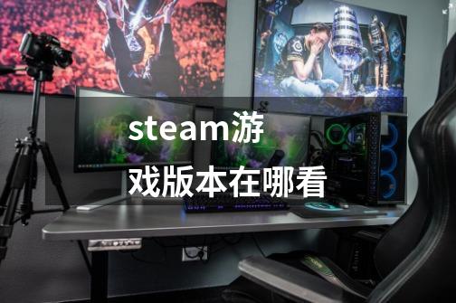 steam游戏版本在哪看-第1张-游戏信息-四季网