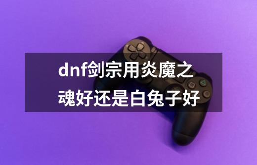 dnf剑宗用炎魔之魂好还是白兔子好-第1张-游戏信息-四季网