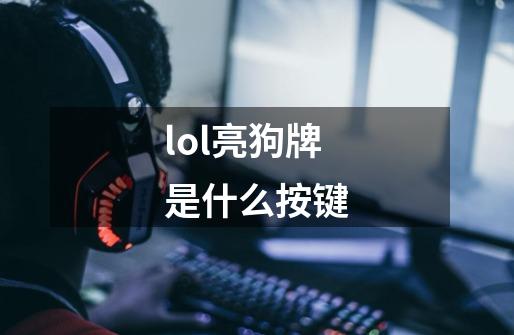 lol亮狗牌是什么按键-第1张-游戏信息-四季网