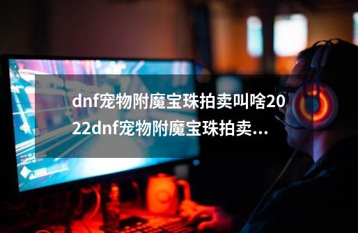 dnf宠物附魔宝珠拍卖叫啥2022dnf宠物附魔宝珠拍卖叫啥-第1张-游戏信息-四季网