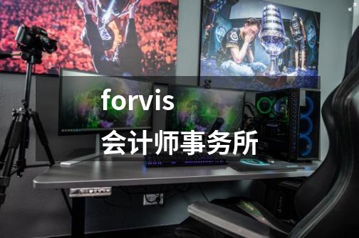 forvis会计师事务所-第1张-游戏信息-四季网