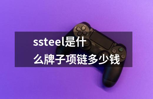 ssteel是什么牌子项链多少钱-第1张-游戏信息-四季网