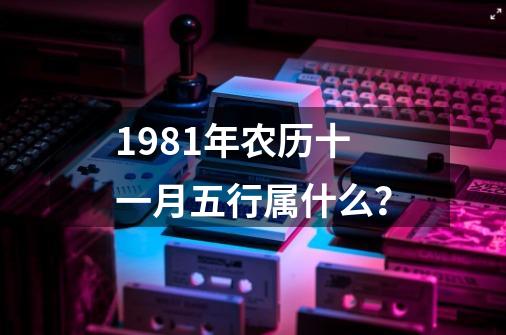 1981年农历十一月五行属什么？-第1张-游戏信息-四季网