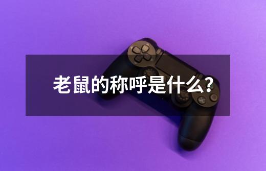 老鼠的称呼是什么？-第1张-游戏信息-四季网