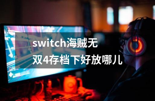 switch海贼无双4存档下好放哪儿-第1张-游戏信息-四季网