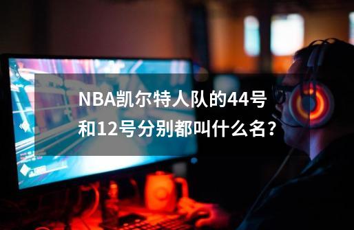 NBA凯尔特人队的44号和12号分别都叫什么名？-第1张-游戏信息-四季网