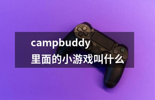 campbuddy里面的小游戏叫什么-第1张-游戏信息-四季网