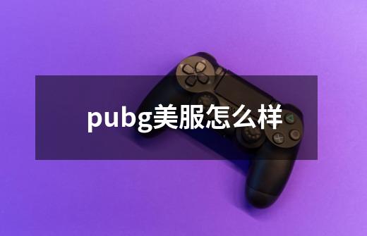 pubg美服怎么样-第1张-游戏信息-四季网