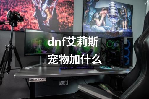 dnf艾莉斯宠物加什么-第1张-游戏信息-四季网