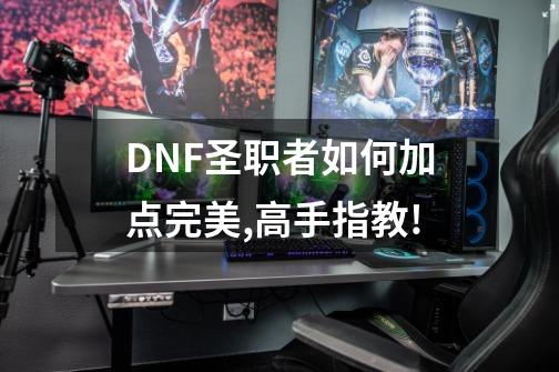 DNF圣职者如何加点完美,高手指教!-第1张-游戏信息-四季网