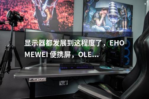 显示器都发展到这程度了，EHOMEWEI 便携屏，OLED触控+4K60帧-第1张-游戏信息-四季网