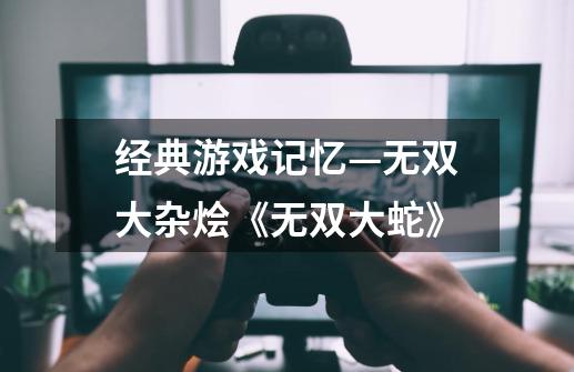 经典游戏记忆—无双大杂烩《无双大蛇》-第1张-游戏信息-四季网