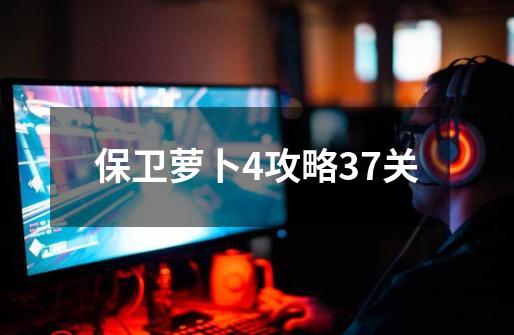 保卫萝卜4攻略37关-第1张-游戏信息-四季网