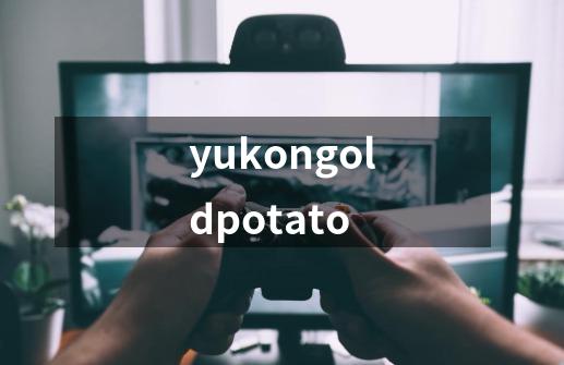 yukongoldpotato-第1张-游戏信息-四季网