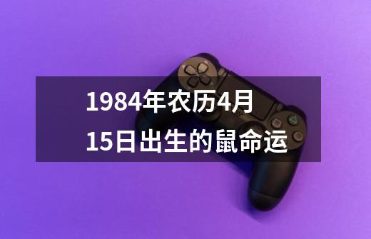 1984年农历4月15日出生的鼠命运-第1张-游戏信息-四季网