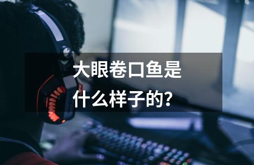 大眼卷口鱼是什么样子的？-第1张-游戏信息-四季网