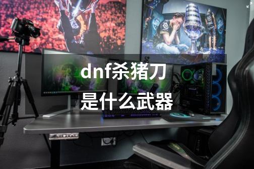 dnf杀猪刀是什么武器-第1张-游戏信息-四季网