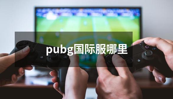 pubg国际服哪里-第1张-游戏信息-四季网