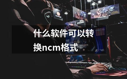 什么软件可以转换ncm格式-第1张-游戏信息-四季网