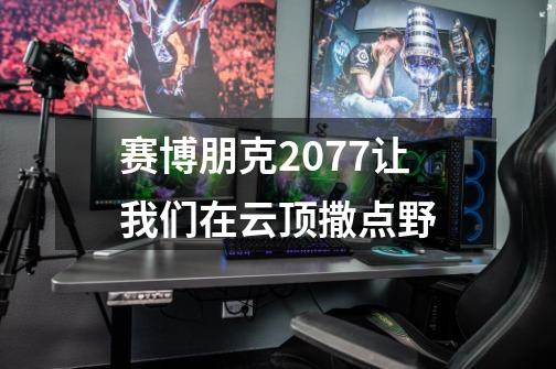 赛博朋克2077让我们在云顶撒点野-第1张-游戏信息-四季网