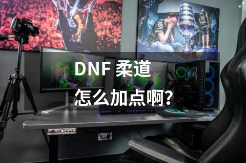 DNF 柔道怎么加点啊？-第1张-游戏信息-四季网