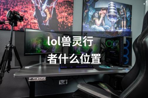 lol兽灵行者什么位置-第1张-游戏信息-四季网