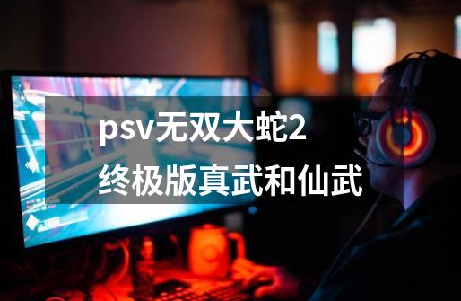 psv无双大蛇2终极版真武和仙武-第1张-游戏信息-四季网